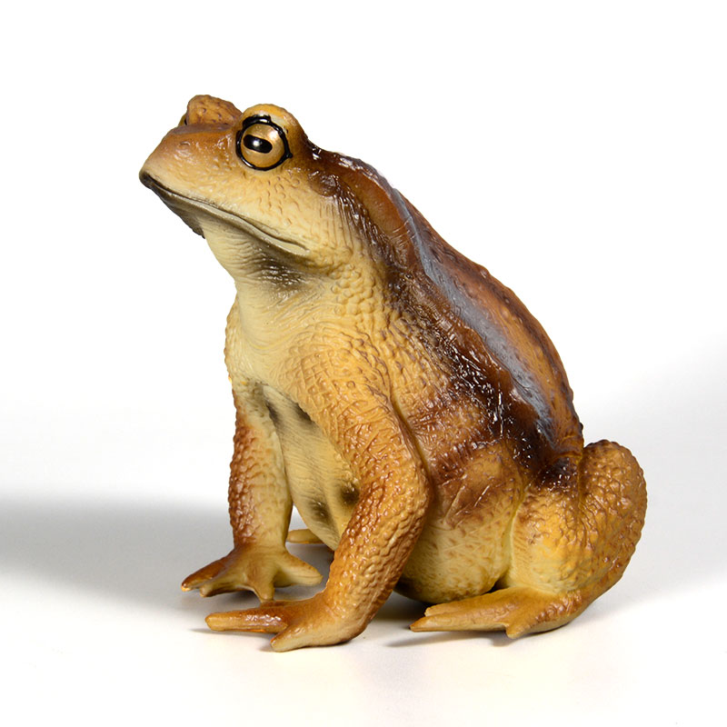 Kids Toys Packaging - Amphibian Frog Figure Insect Model Simulation
