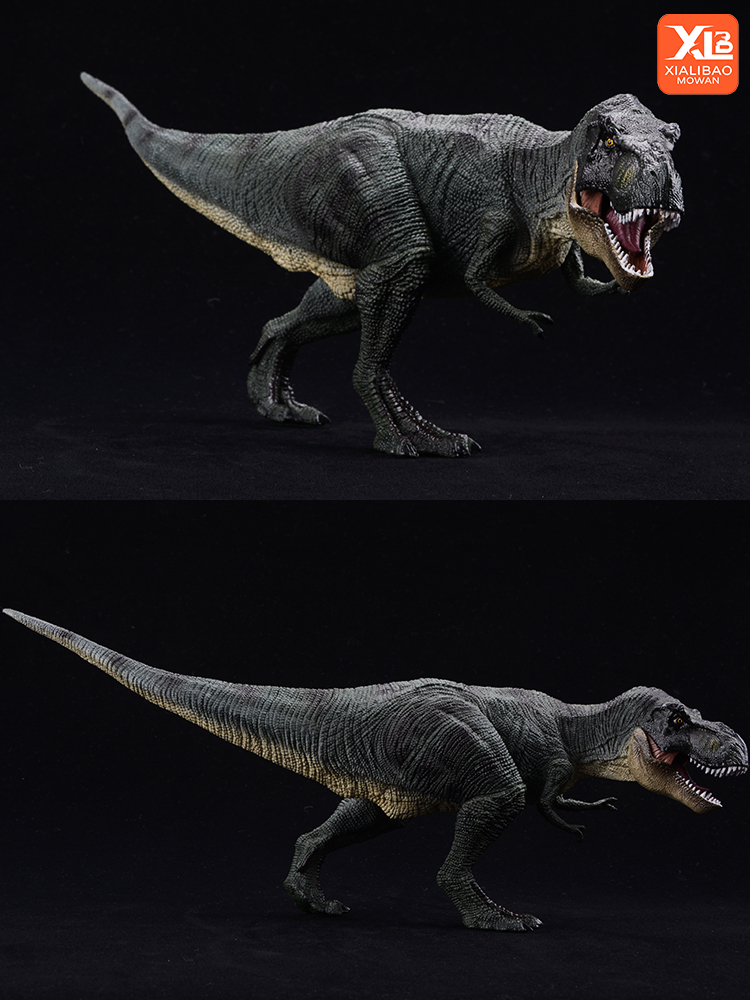 Prehistoric Jurassic Tyrannosa - Kids Toys Packaging 评论和价格