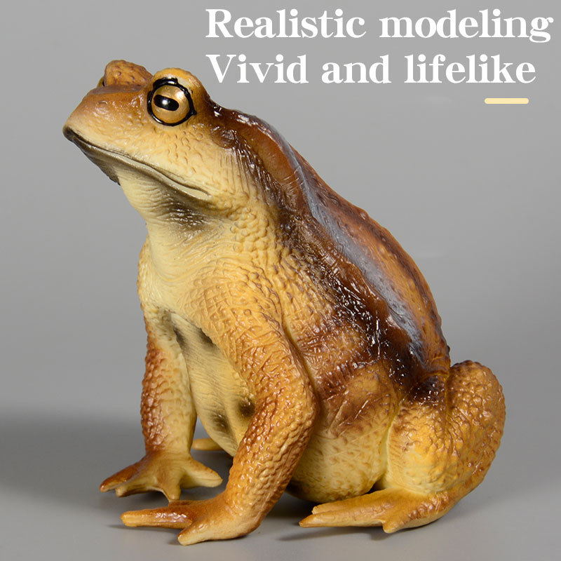 Amphibian Frog Figure Insect M - Kids Toys Packaging 评论和价格