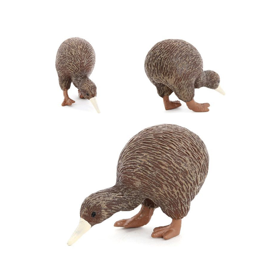 Realistic Kiwi Bird Animal Mod - Kids Toys New Zealand 评论和价格