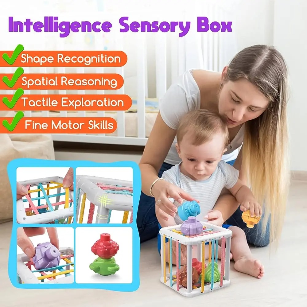Rainbow Colorful Montessori Sh - Kids Toys Learning 评论和价格