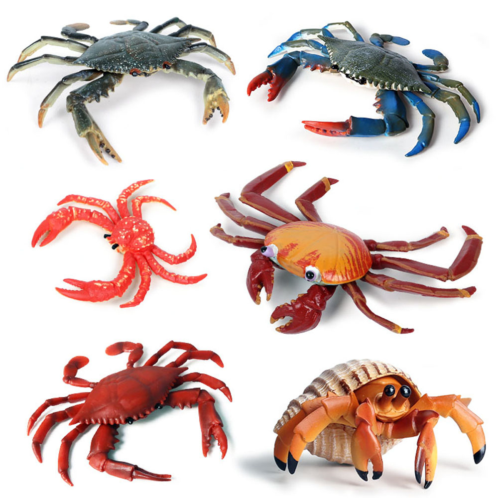 baby kids children toys sea an - Kids Toys Shop 评论和价格