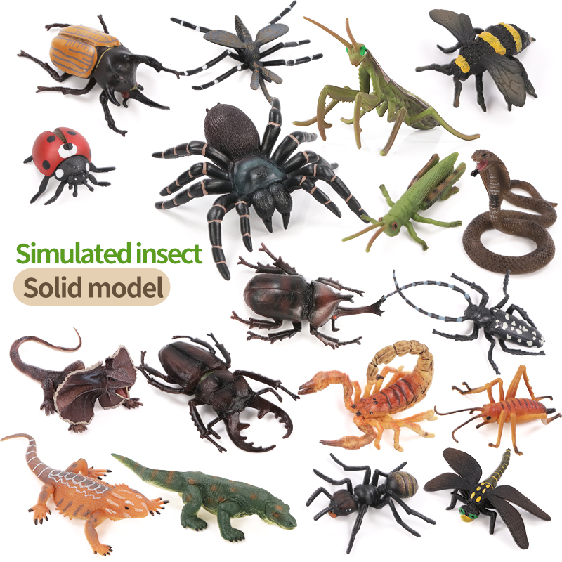 Educational Simulation Insect  - Kids Toys Packaging 评论和价格
